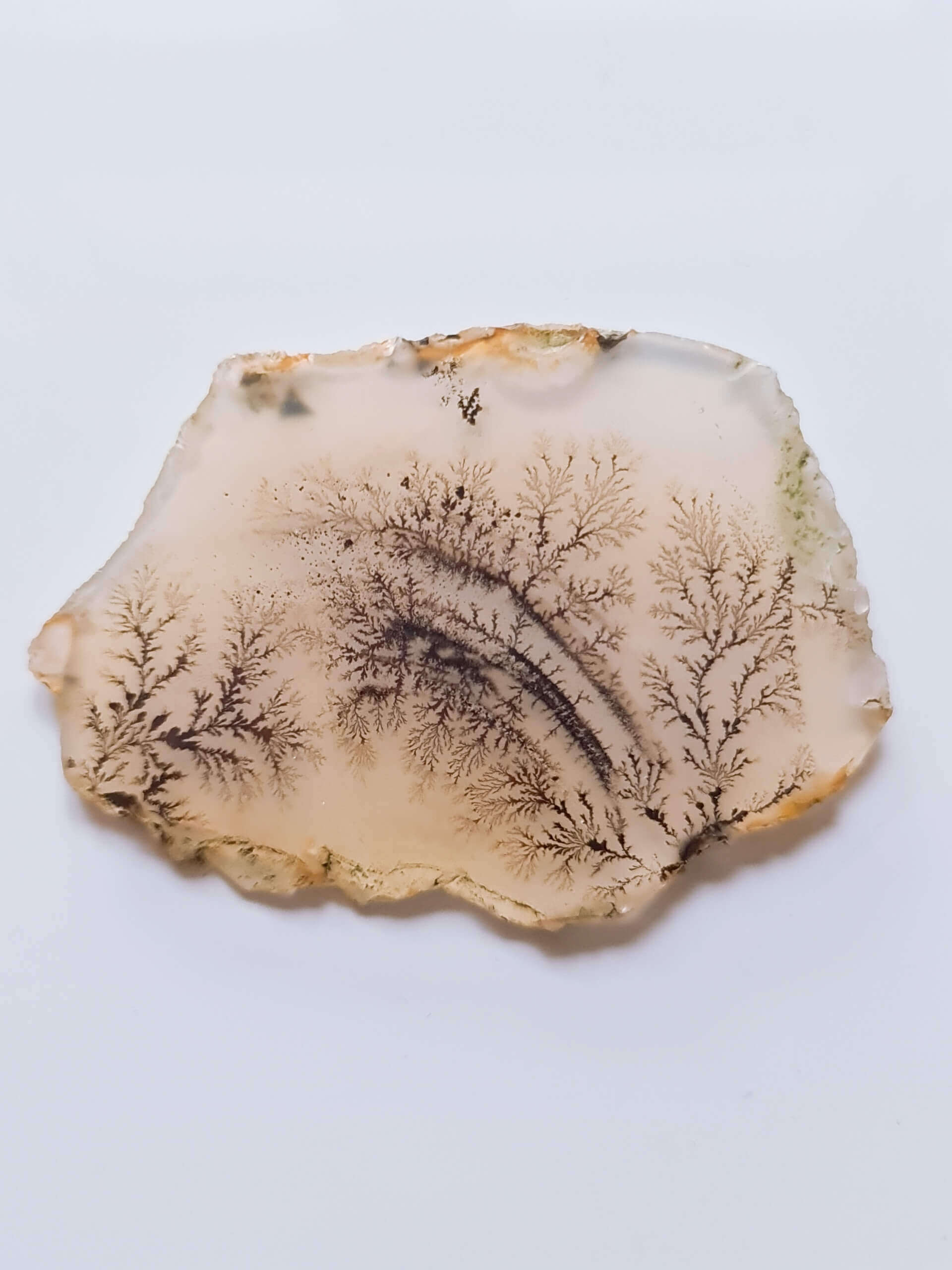 Dendritic shop agate wiki